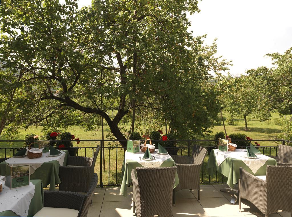 Donauhof - Hotel Garni Weißenkirchen in der Wachau Eksteriør billede