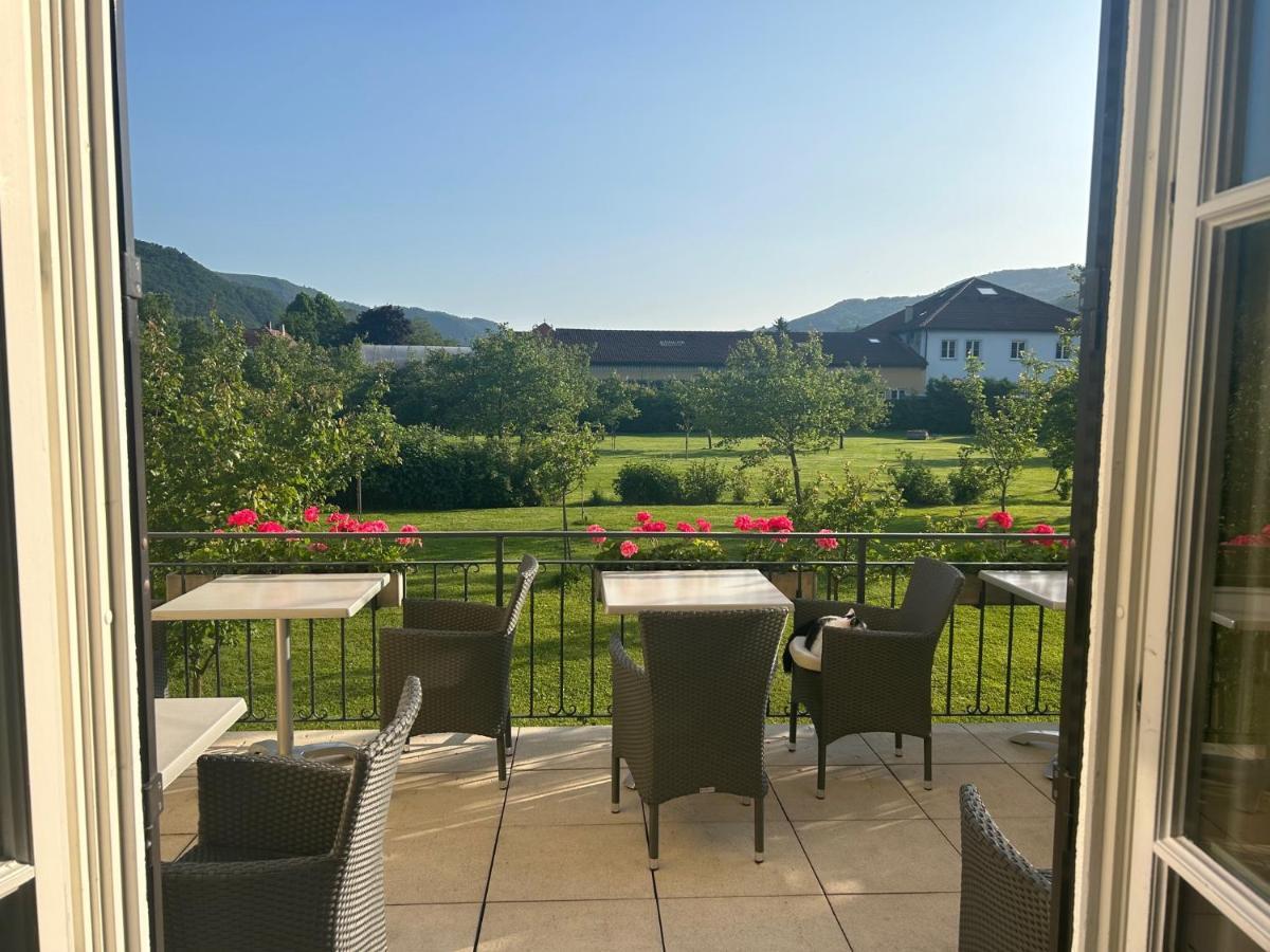 Donauhof - Hotel Garni Weißenkirchen in der Wachau Eksteriør billede