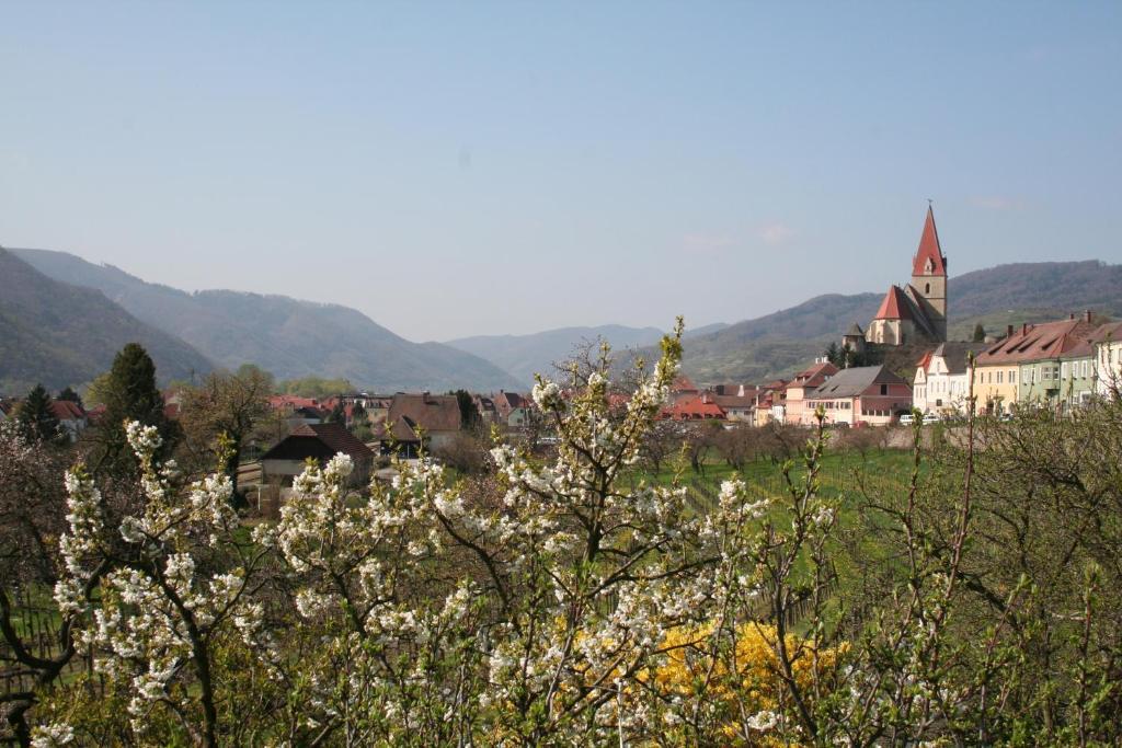 Donauhof - Hotel Garni Weißenkirchen in der Wachau Eksteriør billede
